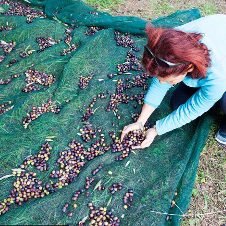 Rete di raccolta di olive in HDPE trattata UV