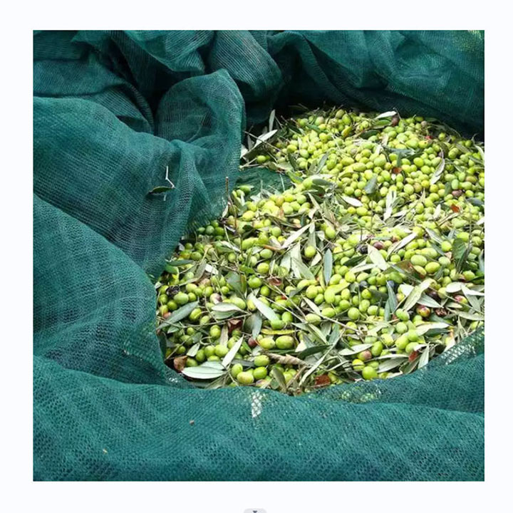 Harvest Olive Netting HDPE Maglia Rete Verde Oliva