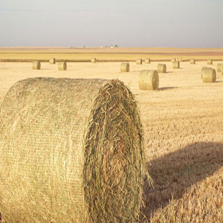 HDPE Biodegradable Bale Wrap Net per l'agricultura